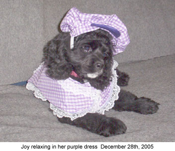 joyrelaxing 2005-12-28.jpg